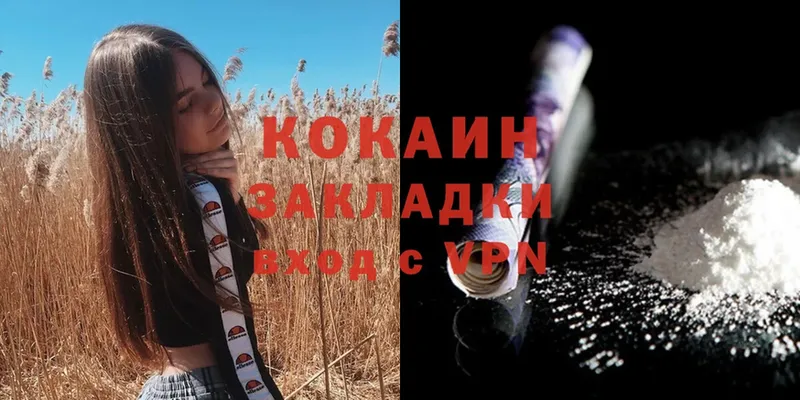 КОКАИН Fish Scale  Красновишерск 