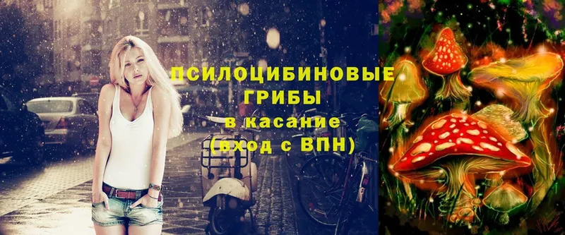 цены   Красновишерск  Псилоцибиновые грибы Cubensis 